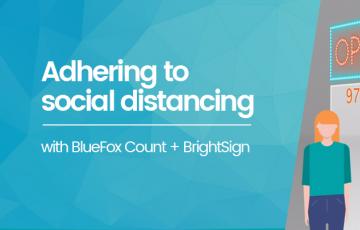 BrightSign and BlueFox Count social distancing